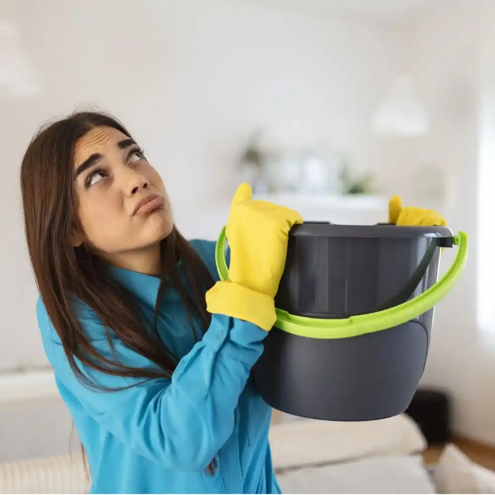 water damage restoration service Berkeley